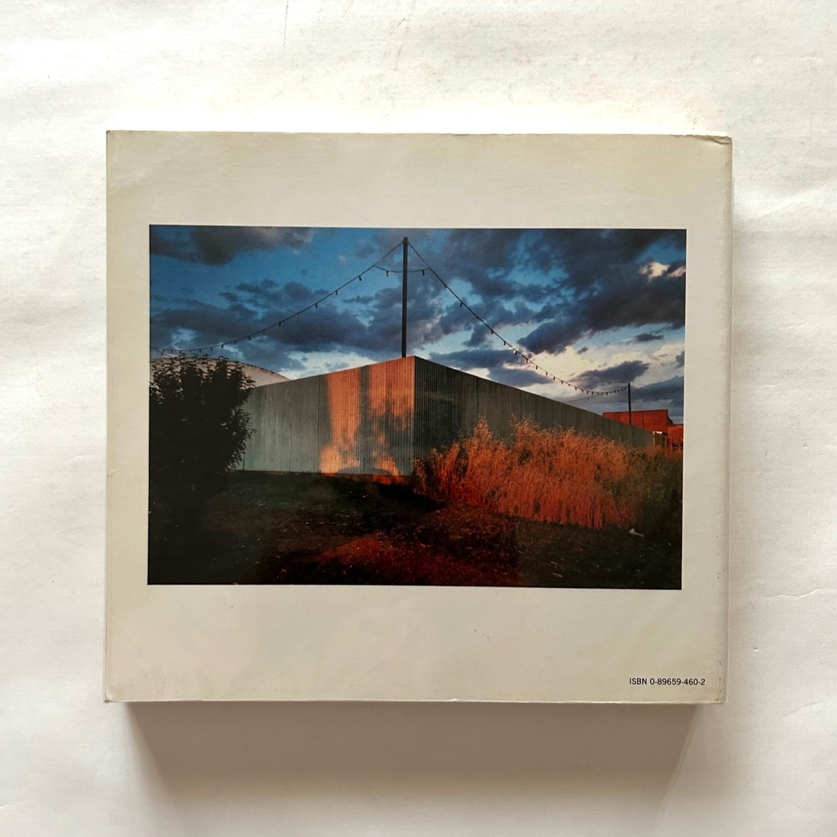 New Color New Work 18 Photographic Essays / Sally Eauclaire - 本 