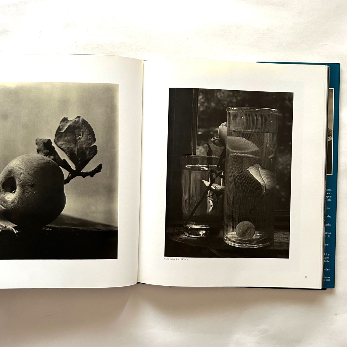 Josef Sudek Poet of Prague / Anna Farova - 本まるさんかくしかく Blog