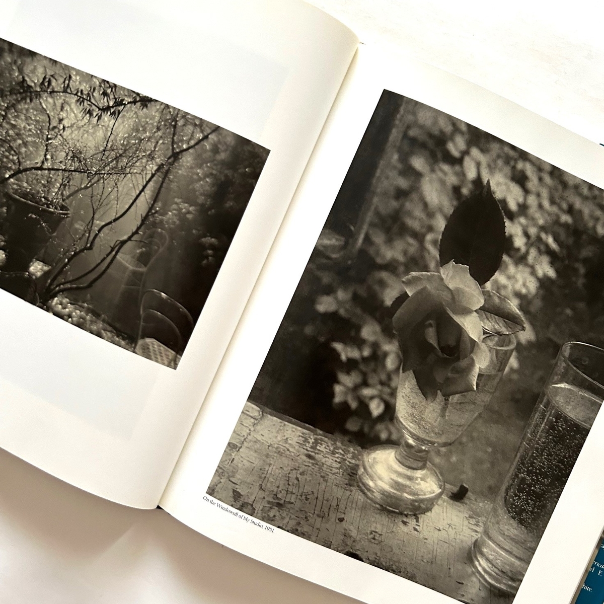 Josef Sudek Poet of Prague / Anna Farova - 本まるさんかくしかく Blog