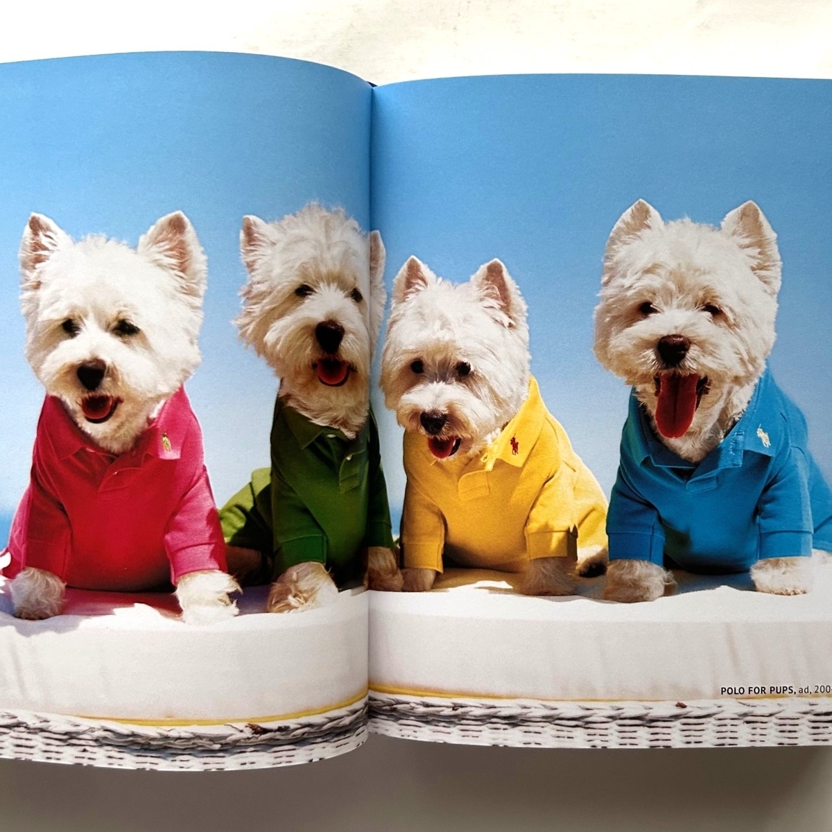 Ralph Lauren's Polo Shirt /Ralph Lauren - 本まるさんかくしかく Blog