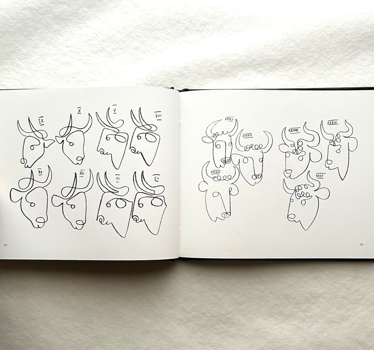 Picasso's One-Liners / パブロ・ピカソ - 本まるさんかくしかく Blog
