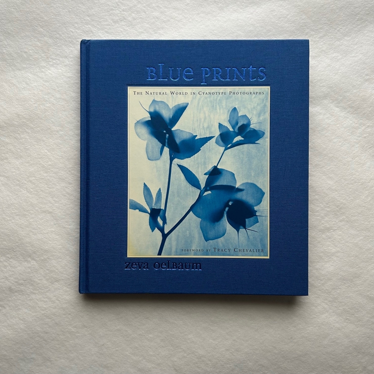 Blue Prints / ゼヴァオ・エルバム - 本まるさんかくしかく Blog