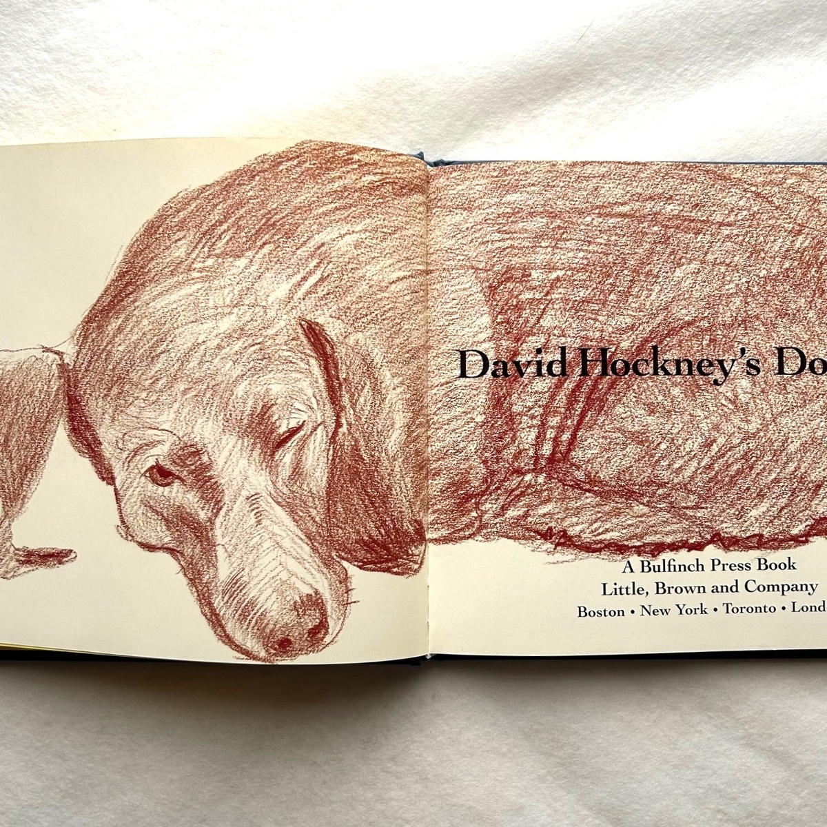 David Hockney's Dog Days / デイヴィッド・ホックニー - 本まるさん