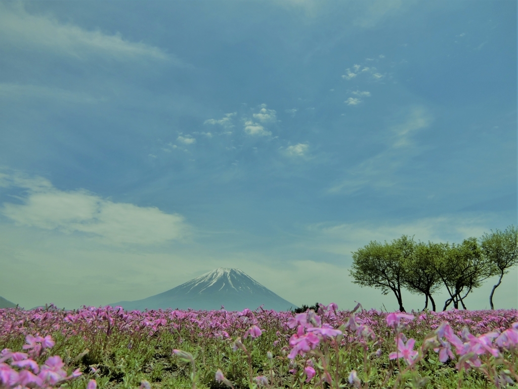 f:id:honblog:20180513200906j:plain f:id:honblog:20180513200906j:plain