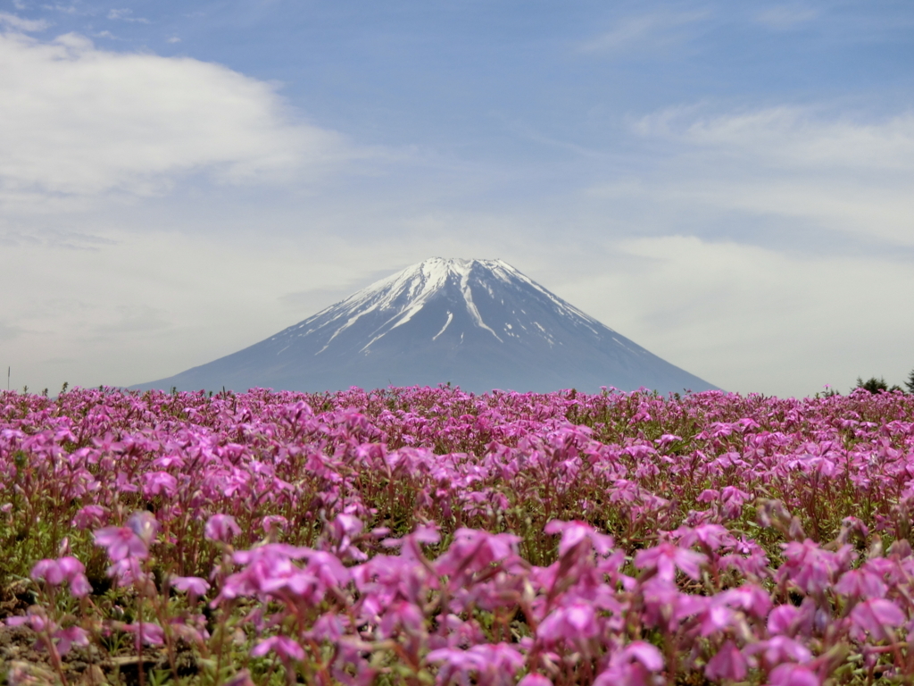f:id:honblog:20180513201135j:plain f:id:honblog:20180513201135j:plain