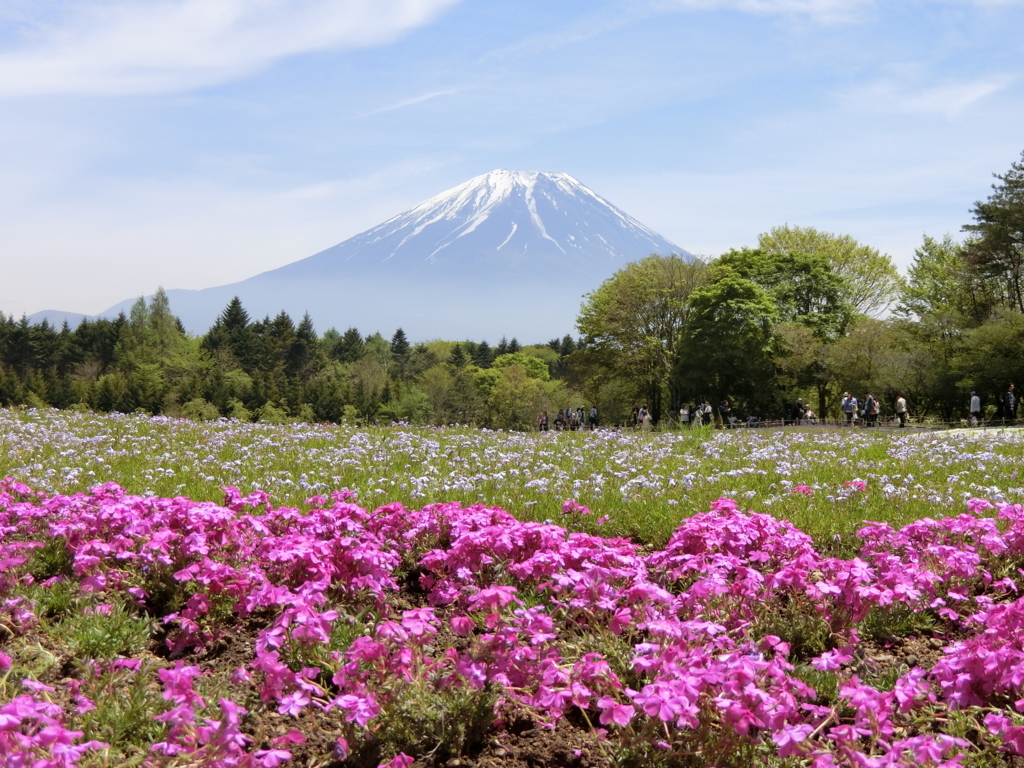f:id:honblog:20180513201404j:plain f:id:honblog:20180513201404j:plain