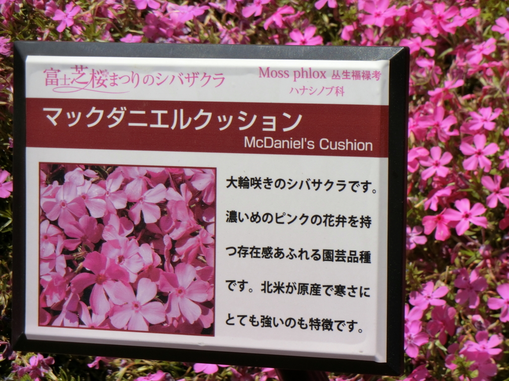 f:id:honblog:20180513201621j:plain f:id:honblog:20180513201621j:plain