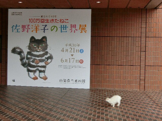 f:id:honblog:20180513203304j:image f:id:honblog:20180513203304j:image
