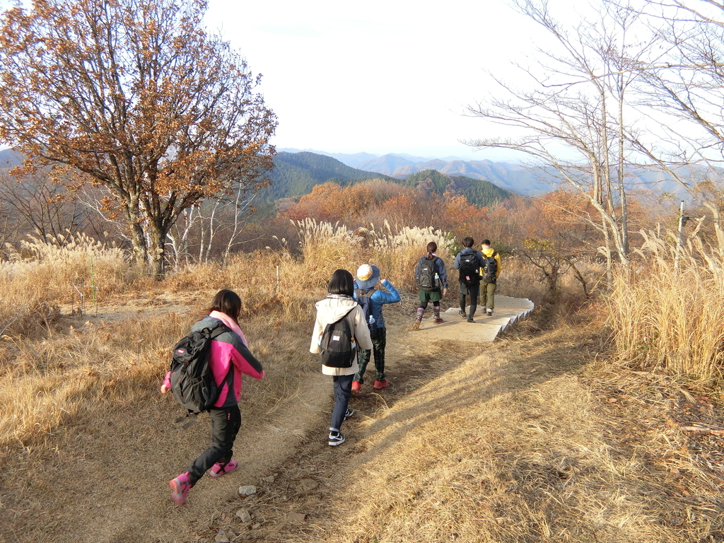 f:id:honblog:20181126214830j:plain