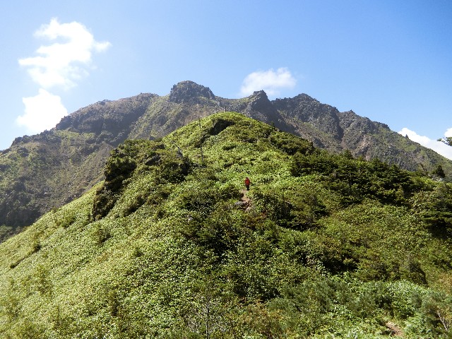 f:id:honblog:20190908135244j:image f:id:honblog:20190908135244j:image