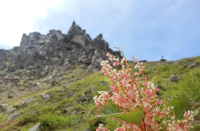 f:id:honblog:20190908135719j:image f:id:honblog:20190908135719j:image
