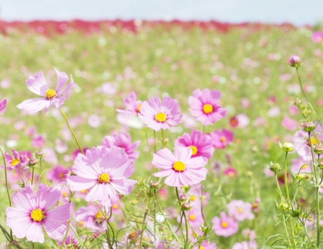 f:id:honblog:20191103172200j:image f:id:honblog:20191103172200j:image