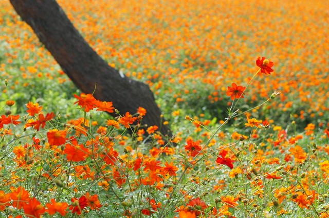 f:id:honblog:20191103172446j:image f:id:honblog:20191103172446j:image