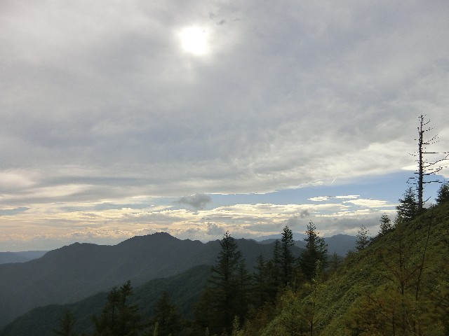 f:id:honblog:20191116154726j:image