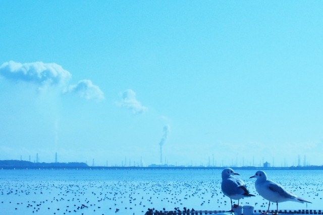 f:id:honblog:20200218201327j:image