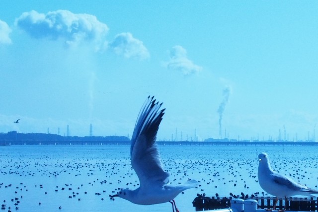 f:id:honblog:20200218201342j:image
