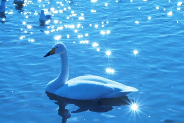 f:id:honblog:20200220131249j:image