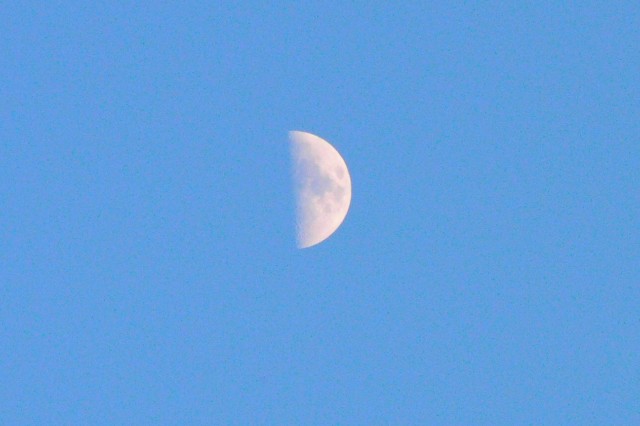 f:id:honblog:20200220131443j:image