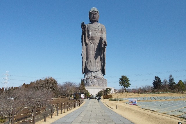 f:id:honblog:20200309142316j:image