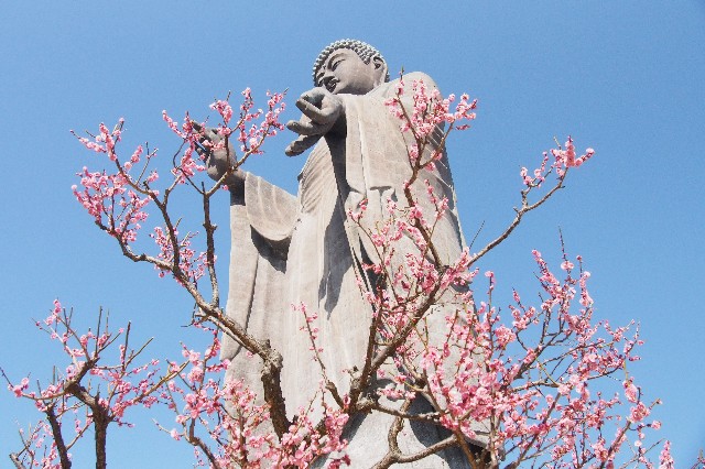 f:id:honblog:20200309142357j:image