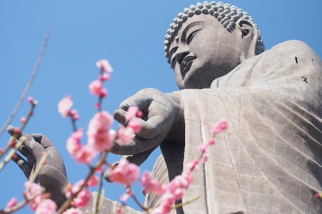 f:id:honblog:20200309142413j:image