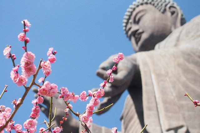 f:id:honblog:20200309142440j:image