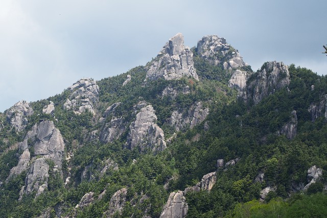 f:id:honblog:20200708121018j:image f:id:honblog:20200708121018j:image