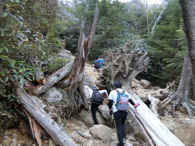 f:id:honblog:20200708121103j:image f:id:honblog:20200708121103j:image