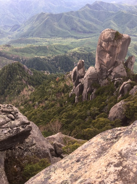 f:id:honblog:20200708121509j:image f:id:honblog:20200708121509j:image