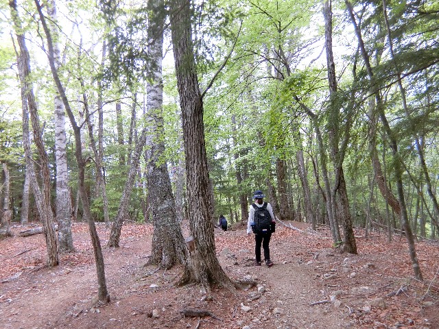 f:id:honblog:20200708121535j:image f:id:honblog:20200708121535j:image