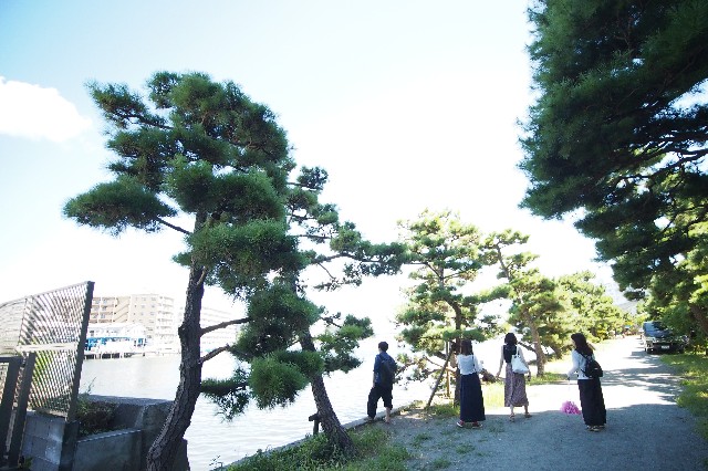 f:id:honblog:20200903081553j:image f:id:honblog:20200903081553j:image