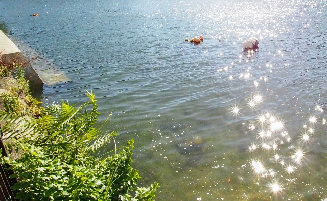 f:id:honblog:20200903121012j:image f:id:honblog:20200903121012j:image