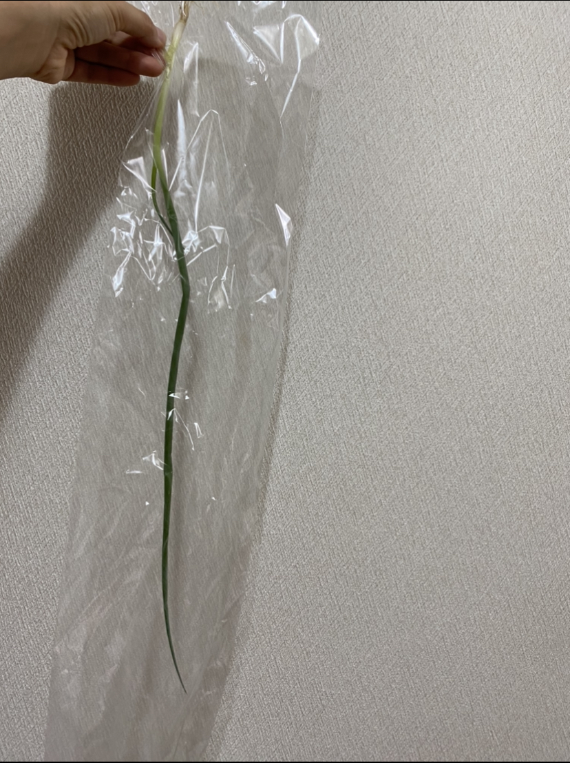 f:id:honchan92oc08:20210622161644j:plain