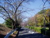 f:id:honda-jimusyo:20071118115137j:plain