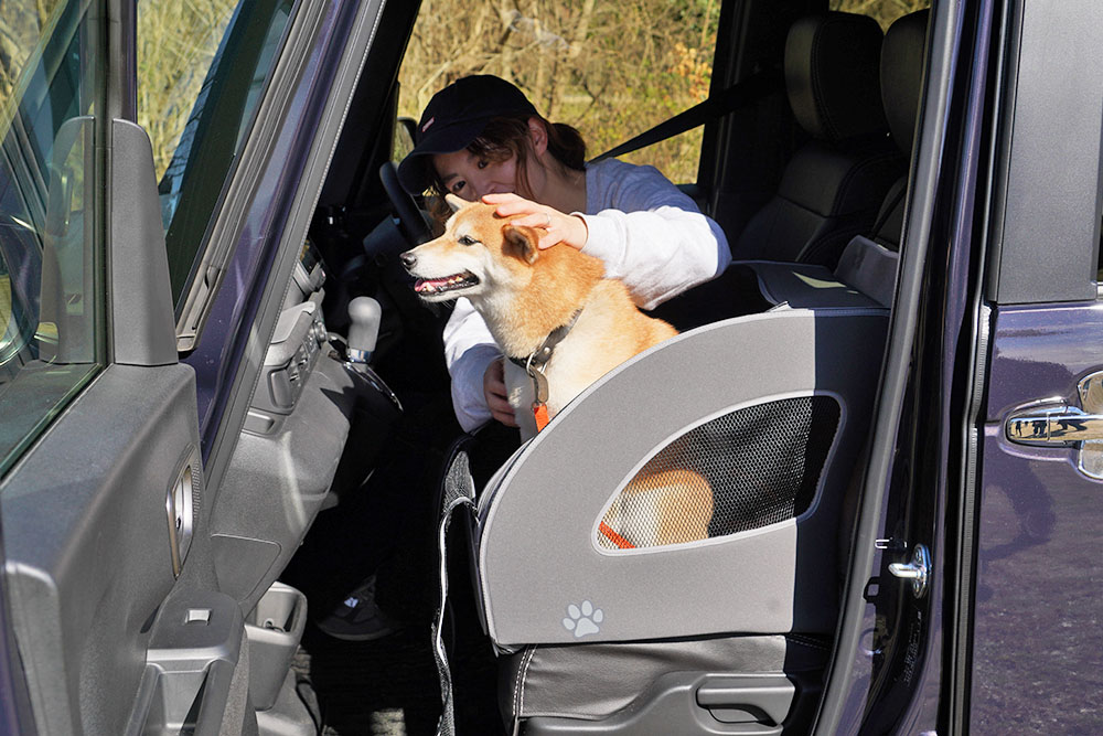 わんこと一緒の楽しいお出かけをより快適にしてくれるHonda Dog