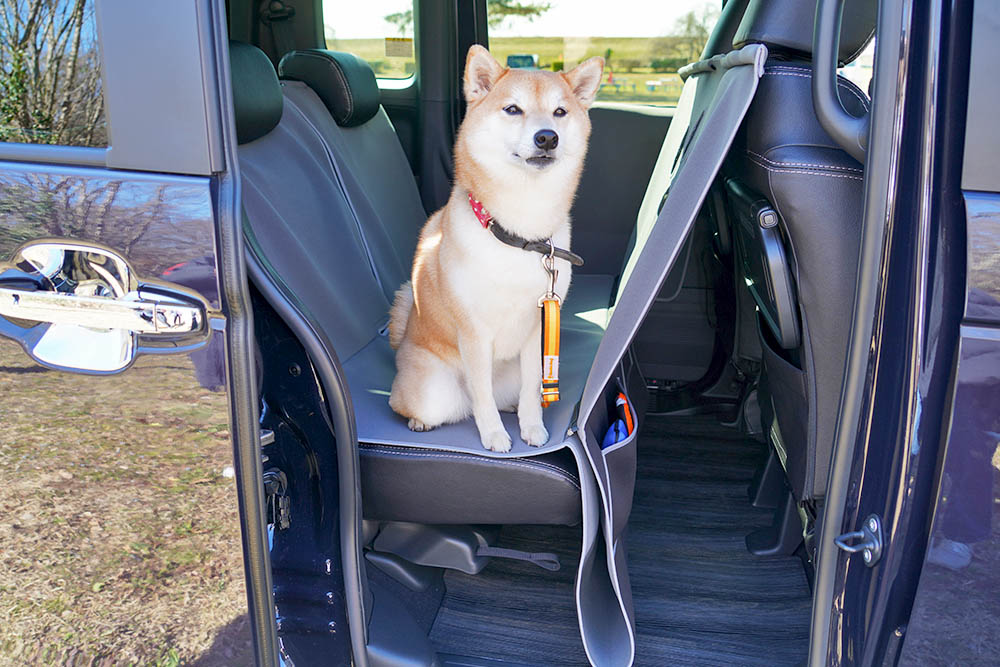 わんこと一緒の楽しいお出かけをより快適にしてくれるHonda Dog