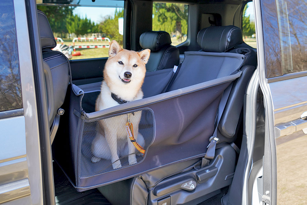 わんこと一緒の楽しいお出かけをより快適にしてくれるHonda Dog