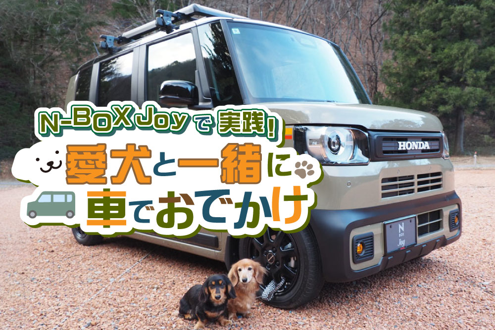 NN-BOX JOYで実践！愛犬と一緒に車でおでかけ