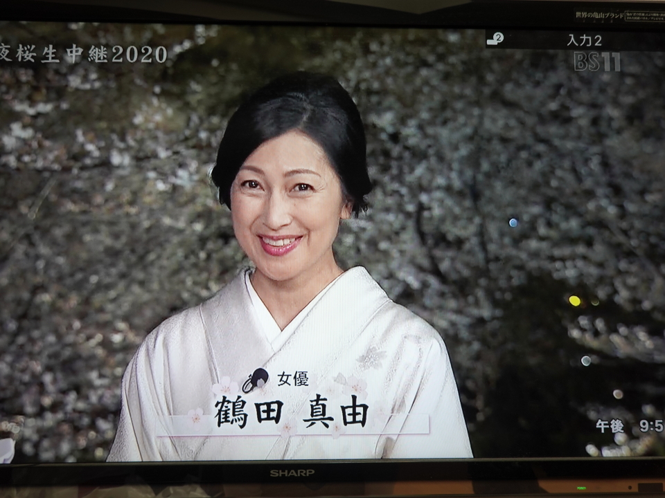 似てる 女優 鶴田真由さんと女優 矢田亜希子さん Hondatad S Blog 似てる 女優 鶴田真由さんと女優 矢田亜希子さん Hondatad S Blog