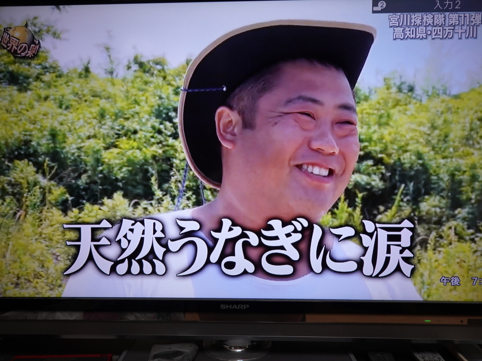 コーディネーター加瀬