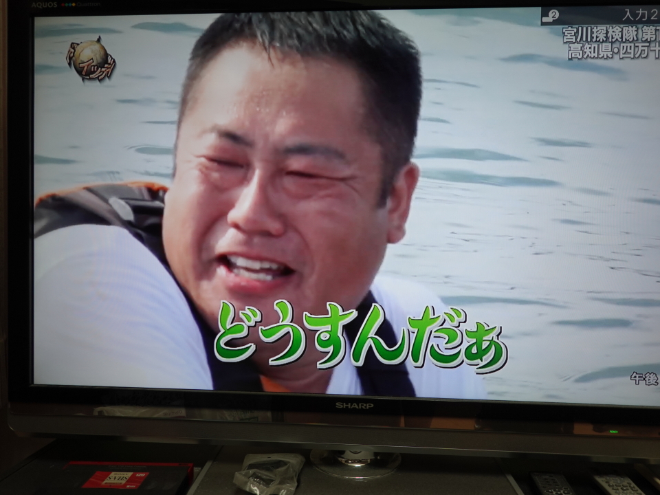 コーディネーター加瀬