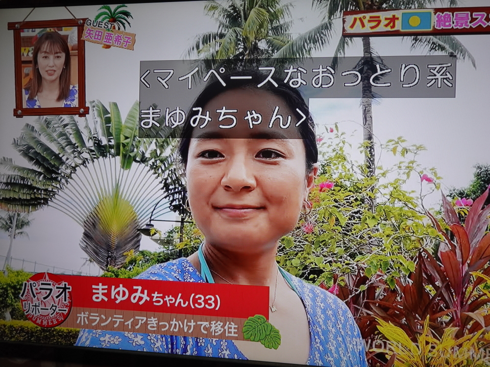 世界さまぁ リゾートとは 人気 最新記事を集めました はてな