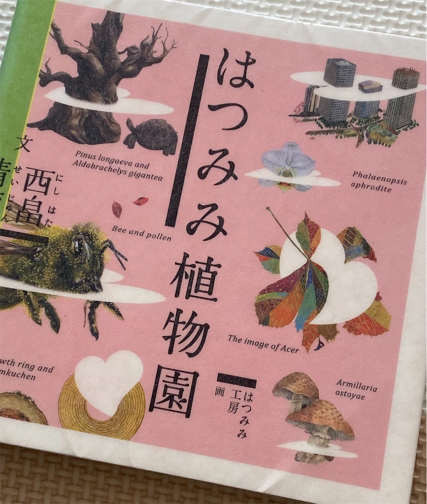 f:id:hondayomuko:20240518100901j:image