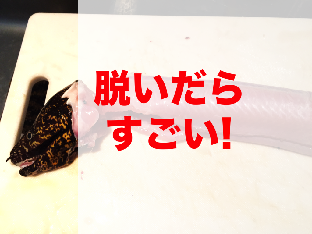 f:id:hondylog:20160817210248p:plain f:id:hondylog:20160817210248p:plain