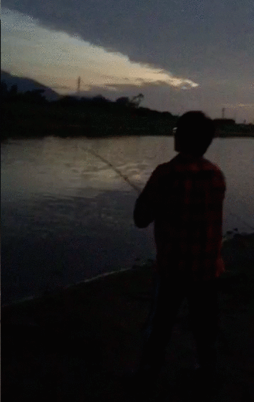 f:id:hondylog:20160904002239g:plain f:id:hondylog:20160904002239g:plain