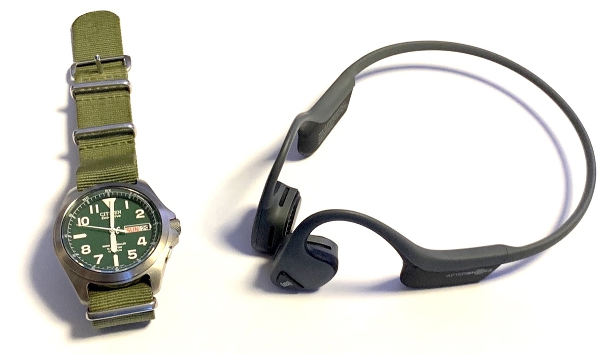 f:id:honeshabri:20210829202302j:plain