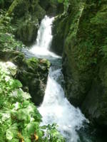 f:id:honest15:20130813111515j:image