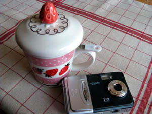 f:id:honey-chocolate:20081020121008j:image