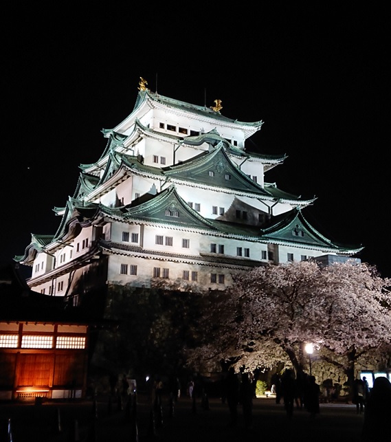 夜の名古屋城