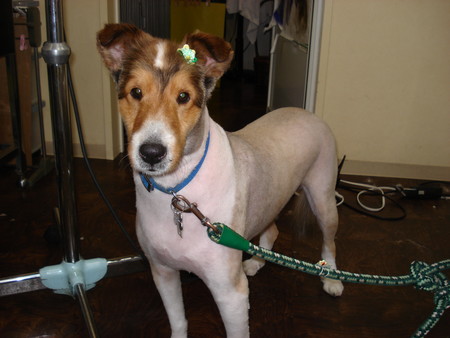 f:id:honey-ponta:20070512210200j:image